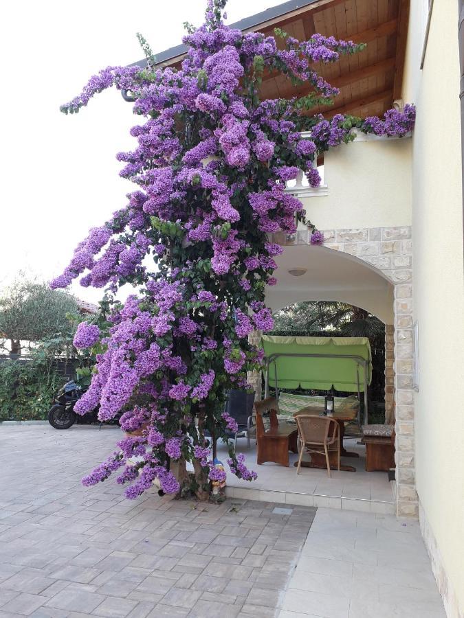Apartments Vesna וודיצה מראה חיצוני תמונה