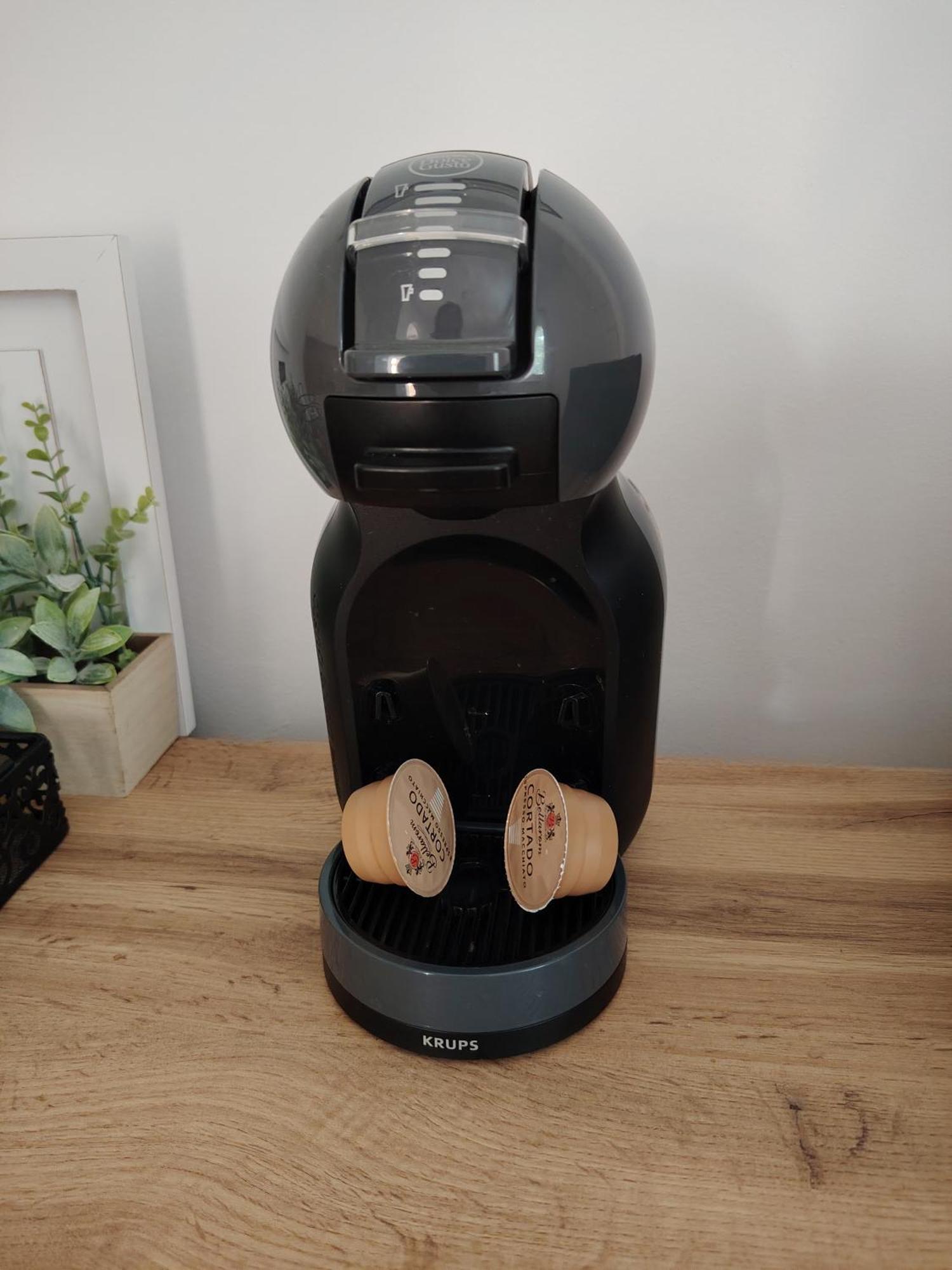 Apartments Vesna וודיצה מראה חיצוני תמונה