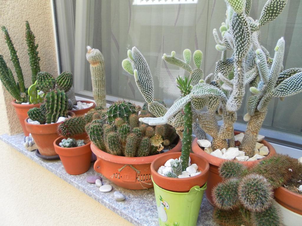 Apartments Vesna וודיצה מראה חיצוני תמונה